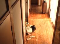 【妖艶な母✖️中山穂香】「久しぶりにシない？」夫に断られた五十路の熟女が息子に襲われて濡れまくってしまう！！