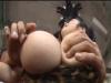 爆乳芸能人が口とオマ●コにズボズボされ極上パイズリで精子まみれ